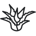 Калъф от Aloe Vera