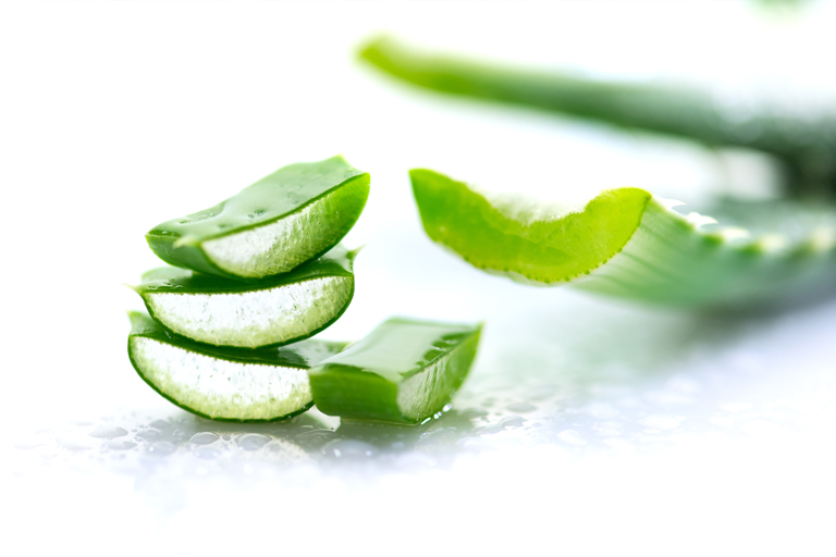 Калъф от Aloe Vera